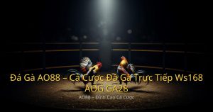 ao88-featured-29